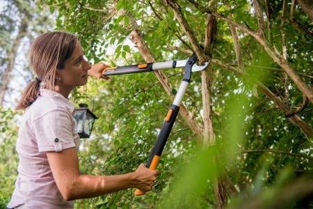 Как выбрать инструменты для обрезки деревьев от Fiskars